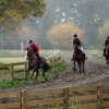 English and horseriding in New Zealand