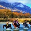 New Zealand on horseback